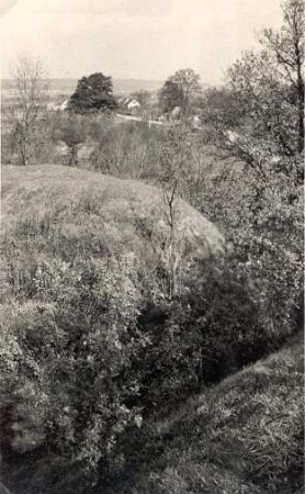 Landschaftsbild an der Schanze in Niedergurig : Wokolina při hrodźišću w Delnjej Hórce