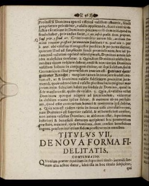Titulus VII. De Nova Forma Fidelitatis.