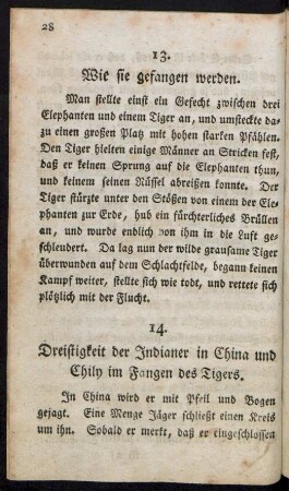 13. Wie sie gefangen werden
