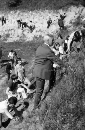 Merdingen: Schulkinder pflanzen Anemonen und Küchenschelle am Hang