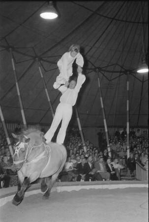 Fontners Reitertruppe, Darbietung der Kunstreiter. Zirkus Olympia? 1955