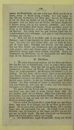 31. Die Biene