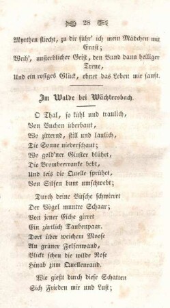Im Walde bei Wächtersbach.