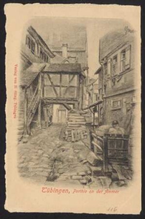 116, Tübingen, Parthie an der Ammer.
