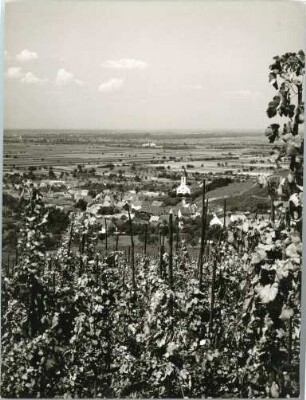 Sommertag im Markgräfler Land