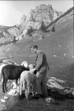 Bayrischzell: ich an einer Schafherde