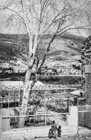 Nablus (HAPAG-Mittelmeerfahrt der Oceana Leonhardt 1929)