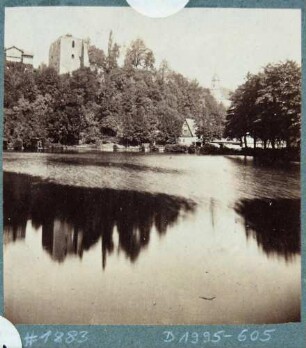 Tharandt, Blick über den Schlossteich auf die Burgruine und die Berg- und Stadtkirche