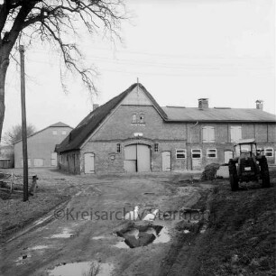 Bauerngehöft Meyer: vorn Zufahrt mit Wasserpfützen: daran zwei Enten: rechts Trecker: links Baum und Strommast: hinten links Wirtschaftsgebäude