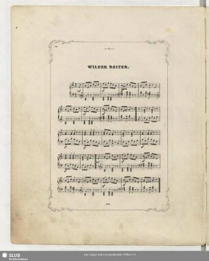 Wilder Reiter