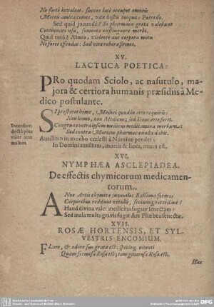 XV. Lactuca Poetica.