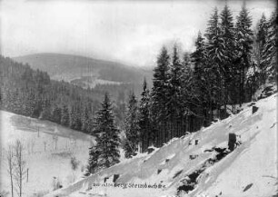 Der Alte Berg : Der Alte Berg, auch Sechser-Berg genannt, liegt hinter dem Glösenstein und war ein wichtiger Vermessungspunkt b. Matth. Öder
