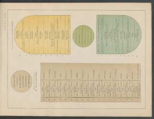 Tafel XXV - [Kosmogonie der Maori.]