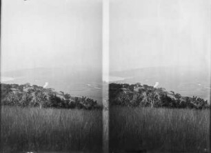 Stereoskopie einer Landschaft : Stereoskopie der Landschaft und Vegetation eines Tals von einer Anhöhe aufgenommen