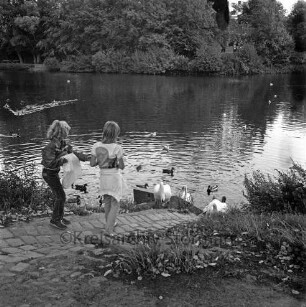 Neuhöfer Teich: Ufer, gepflasterte Rinne: zwei Mädchen beim Füttern der Wasservögel: Schwäne, Enten: hinten gegenüberliegendes Ufer