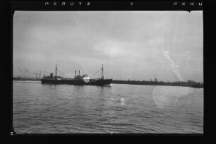 Fauna (1940), Neptun.- Dampfschifffahrts-Gesellschaft „Neptun“, Neptun Linie, D.G. "Neptun", Bremen