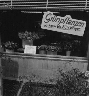 Dresden vor der Währungsumstellung im Juni 1990. Schaufensteraushang an einer Blumenverkaufsstelle "Grünpflanzen ab heute 50% billiger"
