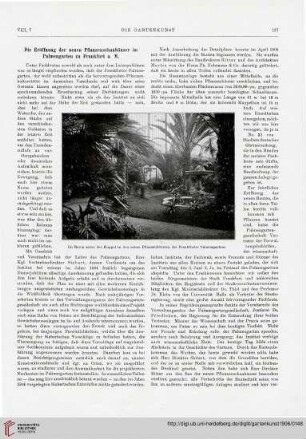 8: Die Eröffnung der neuen Pflanzenschauhäuser im Palmengarten zu Frankfurt a. M.