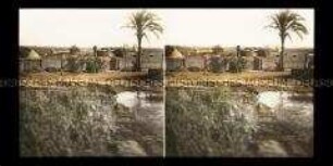 Dorf bei Luxor