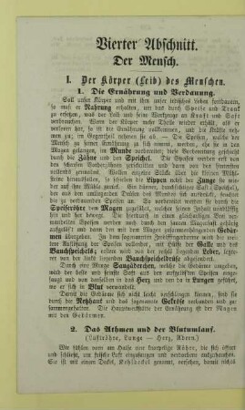 Vierter Abschnitt. Der Mensch
