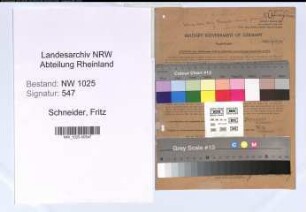 Entnazifizierung Fritz Schneider , geb. 20.03.1895 (Landwirt)