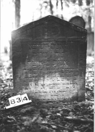 Grabstein 834 (Index: 99899241) Material: Sandstein Zustand: stark verwittert Maße HxBxT: 80x66x8 cm Beschreibung: Stele mit Dreiecksabschluss, im Dreiecksfeld Ranken Symbolik: Ranken: Grabstein 834