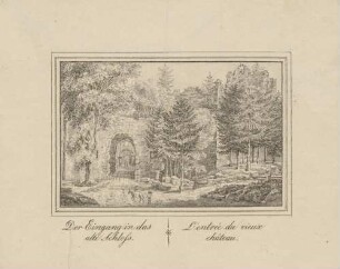 Der Eingang in das alte Schloss - L'entreé du vieux château