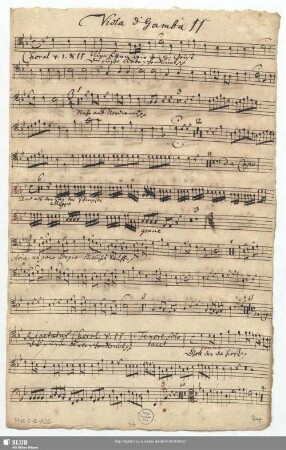 Viola di Gamba II