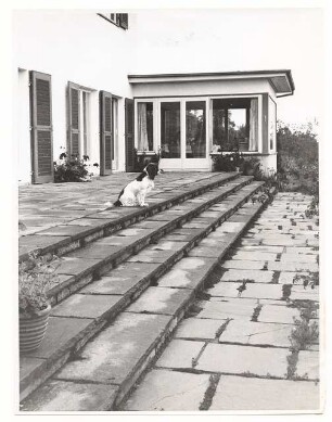 Garten von Dombois, Ermatingen am Bodensee: Terrasse mit Stufen, Hund