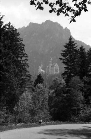 Schwangau: Schloss Neuschwanstein zwischen Waldschneise
