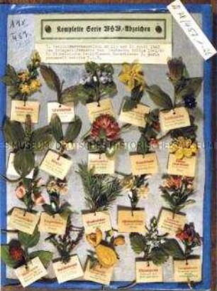 WHW-Abzeichen, Heilkräuter, 7. Reichsstraßen- sammlung vom April 1942