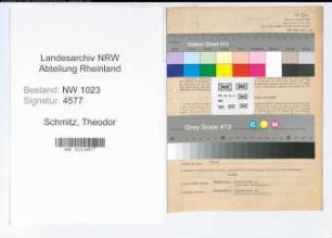 Entnazifizierung Theodor Schmitz , geb. 11.01.1907 (Verw.Beamter)