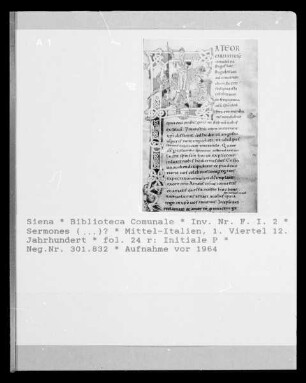 Sermones (...)? — Initiale P, Folio fol. 24 r