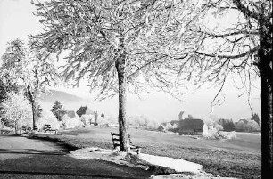 Saig: Weg oberhalb Saig; mit Blick auf Ort
