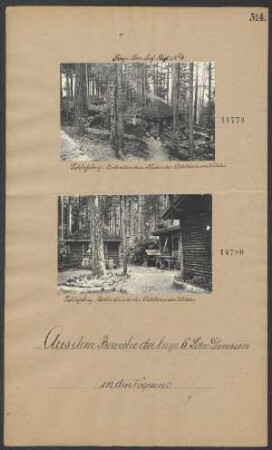 Schloßberg: Unterstände der Artillerie im Walde