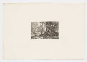 Tannenwald mit Bach, aus: "Radierversuche III"