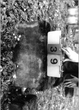 Grabstein 39 (Index: 99791872) Zustand: Fragment Besonderheit: kein Formblatt vorhanden: Grabstein 39