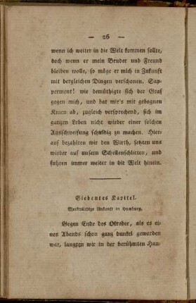 Siebentes Kapitel. Merkwürdige Ankunft in Hamburg