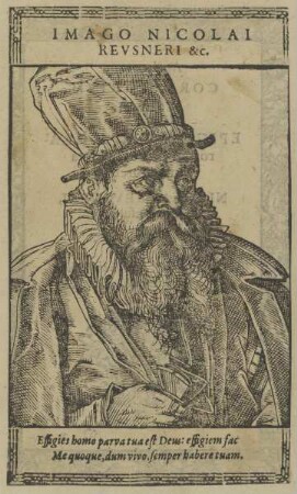 Bildnis des Nikolavs Revsnervs
