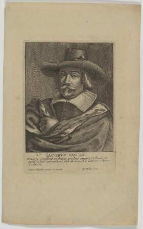 Bildnis des Jacobvs van Es