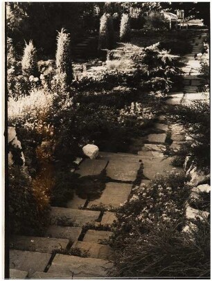 Garten von Dombois, Ermatingen am Bodensee: Treppe im Garten