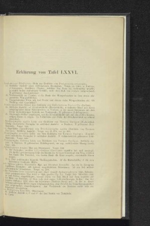 Erklärung von Tafel LXXVI.