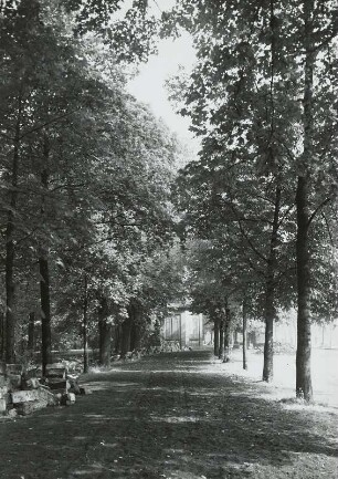 Palais der Sekundogenitur. Garten, Kastanienallee mit Pavillon am "Aha", Blick nach Norden