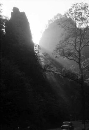 Höllental: Hirschsprung im Gegenlicht