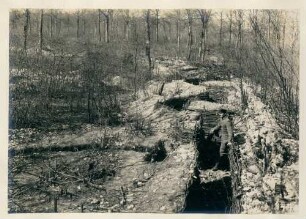Foto von französischen Gräben im Wald von Ville (-devant-Chaumont)