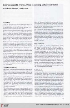Erscheinungsbild-Analyse, Mikro-Monitoring, Schadensdynamik