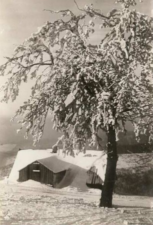 Vogtland. Auf dem Aschberg