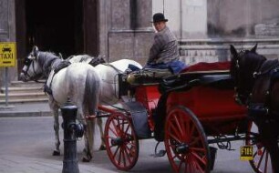 Wien - Eine Kutscherin wartet mit ihrem Fiaker : Fiaker wartet im Zentrum. Aufgenommen 2001 in der Innenstadt von Wien