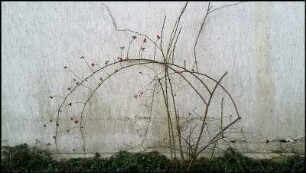 Sonntag Schnee #11