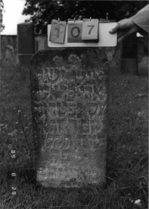 Grabstein 107 (Index: 100107330) Material: heller Sandstein Zustand: stark verwittert mit teilweisem Textverlust, bewachsen, versalzen Maße HxBxT: 82x40x10 cm Beschreibung: Stele, rechteckig mit abgerundeten Ecken: Grabstein 107